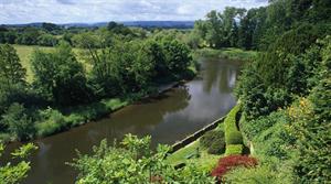 The Weir Garden